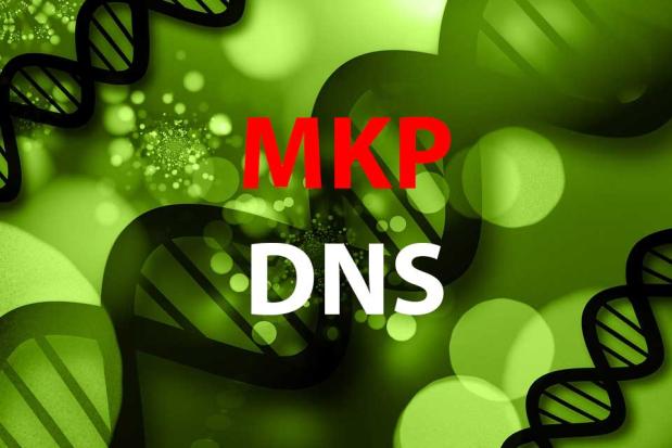 MKP-DNS